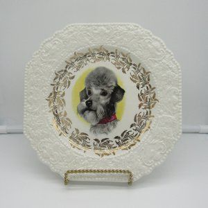 LORD NELSON POTTERY ENGLAND 71/2" COLLECTOR PLATE FEATURING POODLE DOG HEAD.